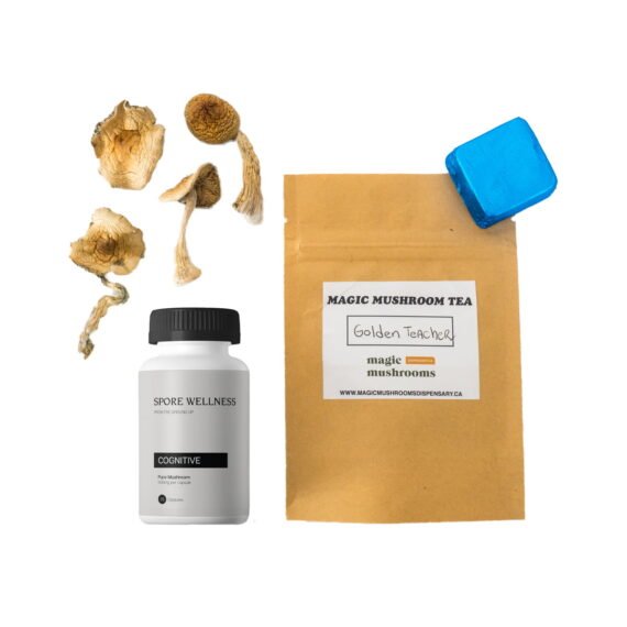 First-Timer Magic Mushroom Kit - Psych 101