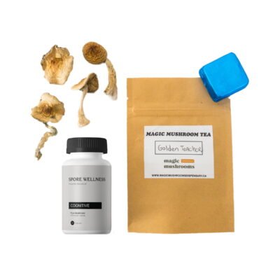 First-Timer Magic Mushroom Kit - Psych 101