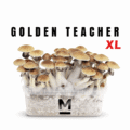 Magic Mushroom Grow Kit Golden Teacher Xl by Mondo