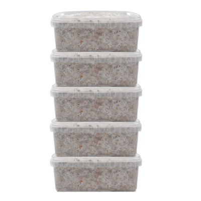 Magic Mushroom Grow Kits 5 package deal by FreshMushrooms®