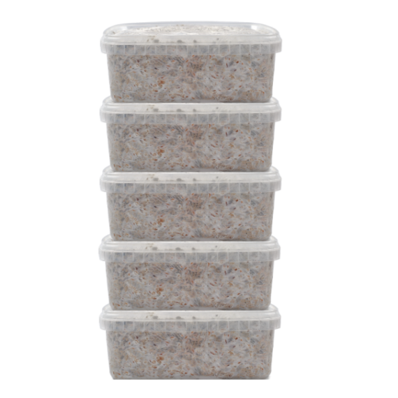 Magic Mushroom Grow Kits 5 package deal by FreshMushrooms®