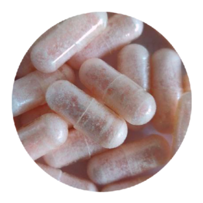 Pink Rhino MDMA Capsules