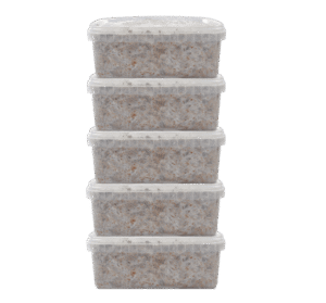 Premium Magic Mushroom Grow Kits - Mycomate Discount Pack