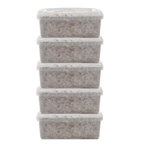 Premium Magic Mushroom Grow Kits - Mycomate Discount Pack