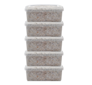 Premium Magic Mushroom Grow Kits - Mycomate Discount Pack